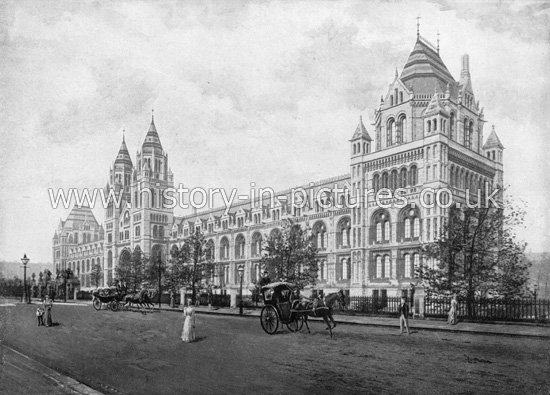 The Natural History Museum, South Kensington, London. c.1890's